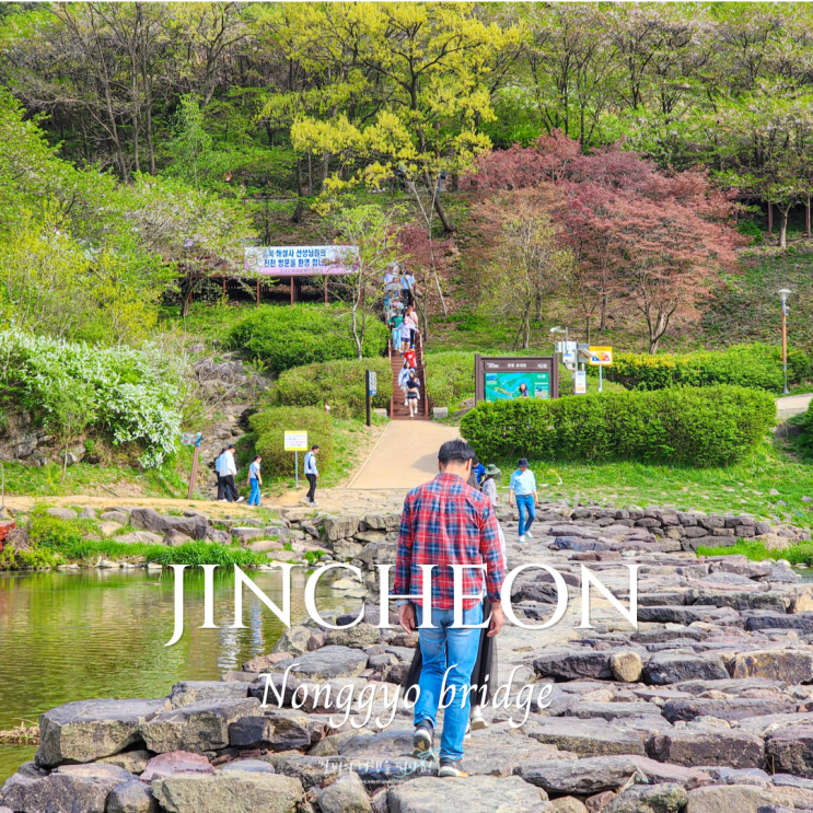  충북 진천 가볼만한곳 농다리 둘레길 미르309 출렁다리