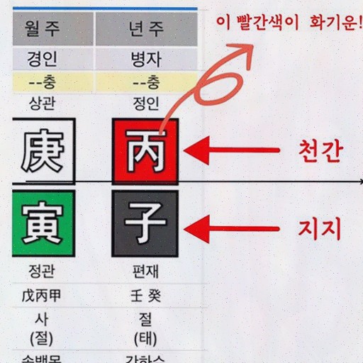  [운세 리뷰] 현실적 조언이 많은 보타점, 재물사주로 성공하는 법