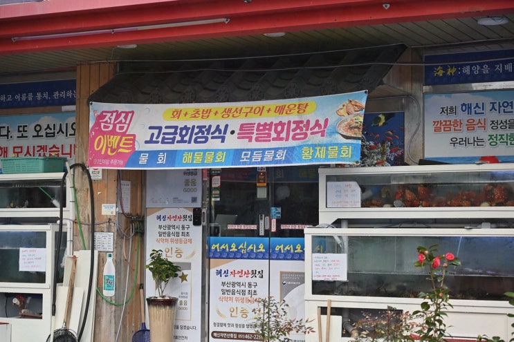  [해신자연산횟집] 부산역 근처에서 즐기는 신선한 해산물, 부산역횟집 맛집