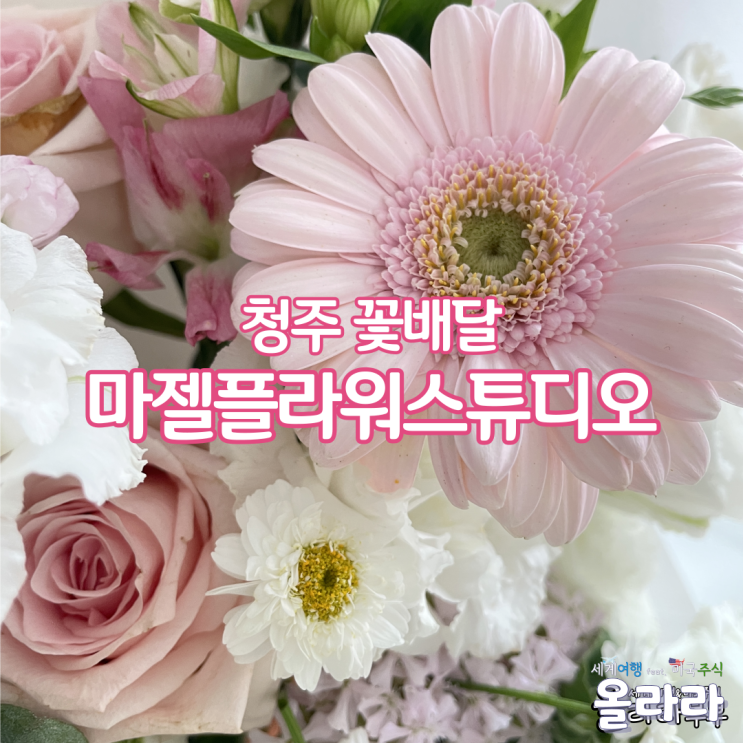  청주꽃배달 마젤플라워스튜디오 어버이날 기념일 꽃집