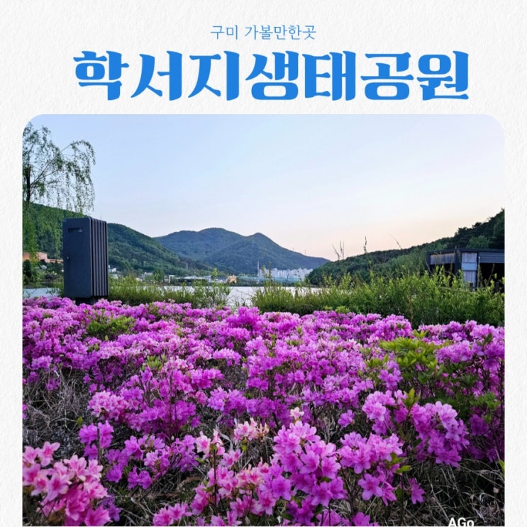  구미가볼만한곳 학서지생태공원 feat 산책하기 좋은곳