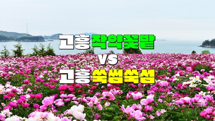 전남 5월 6월 명소 가볼만한곳 · 수국섬 고흥 쑥섬 VS 고흥 작약 꽃밭 가는길 실시간 개화시기 전남 5월 6월 명소 가볼만한곳 · 수국섬 고흥 쑥섬 VS 고흥 작약 꽃밭 가는길 실시간 개화시기
