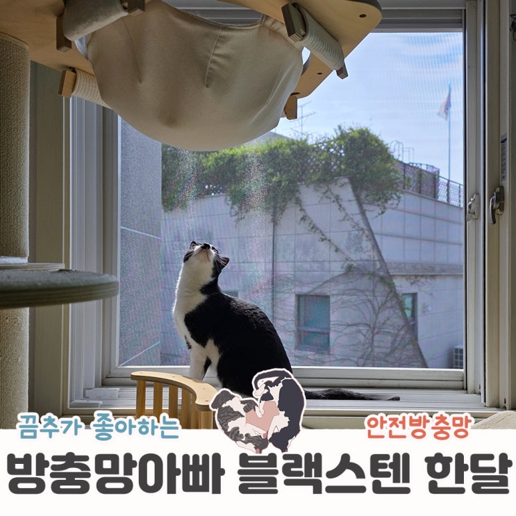  고양이안전방충망 강서구 방충망아빠 만족한달후기 추가설치