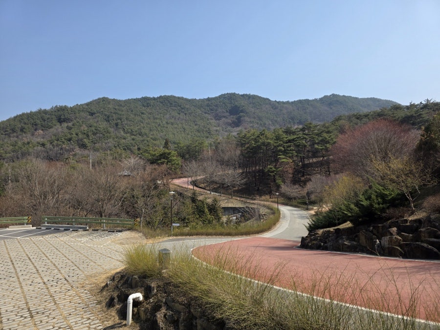 카페루테아 사진 6