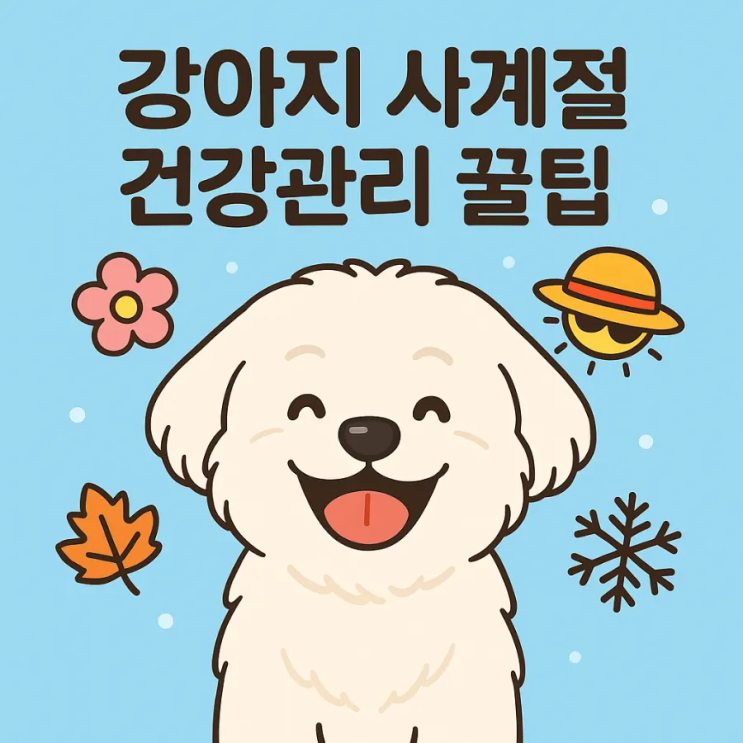  강아지 사계절 건강관리 가이드 | 봄·여름·가을·겨울 필수 체크포인트