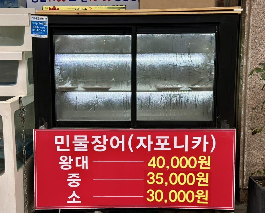 혜성풍천장어 사진 3