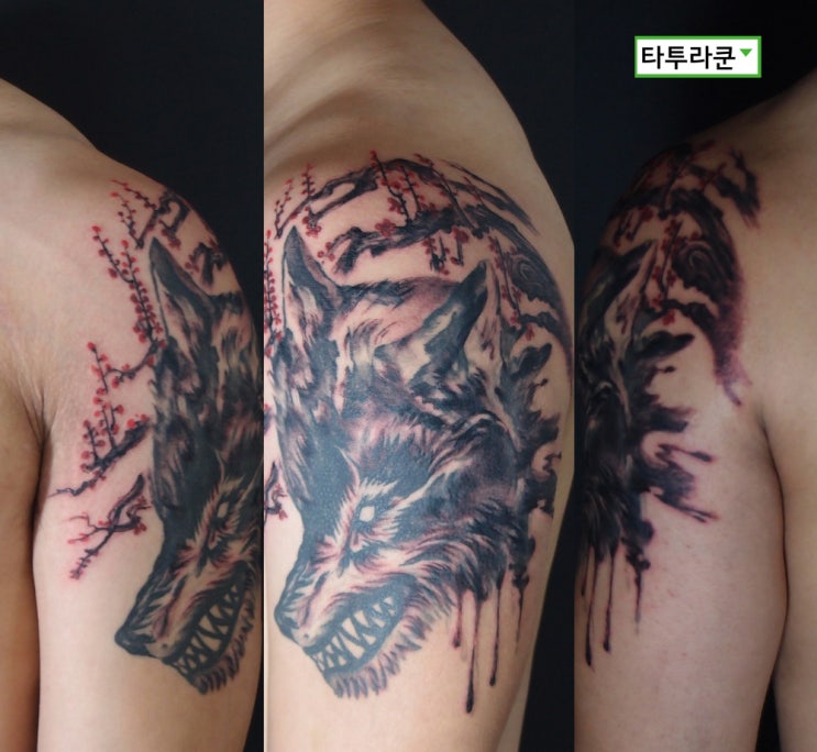  가벼운 타투수정과 면적 연장/ 늑대 머리와 매화문신입니다[홍대 타투라쿤]-2016. 8. 14. 18:23
