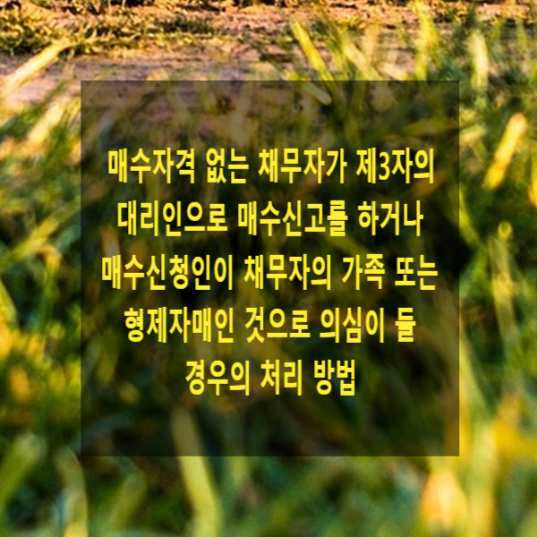  경매절차에서 매수자격 없는 채무자가 제3자의 대리인으로 매수신고를 하거나 매수신청인이 채무자의 가족 또는 형제자매인 것으로 의심이 들 경우 법원의 처리 방법