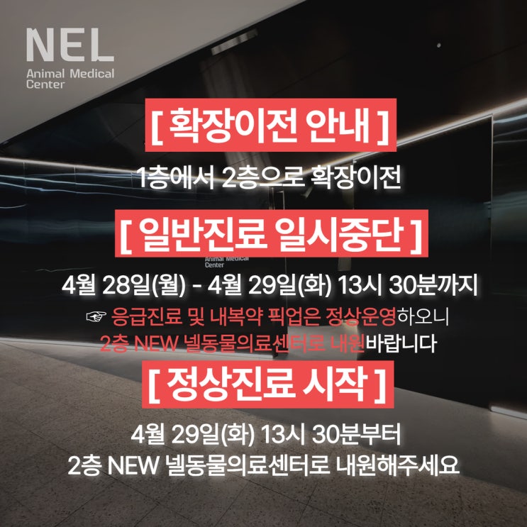  [공지] 넬동물의료센터 확장이전 작업 안내