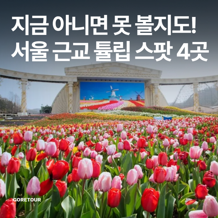  지금 아니면 못 볼지도! 서울 근교 튤립 스팟 4곳