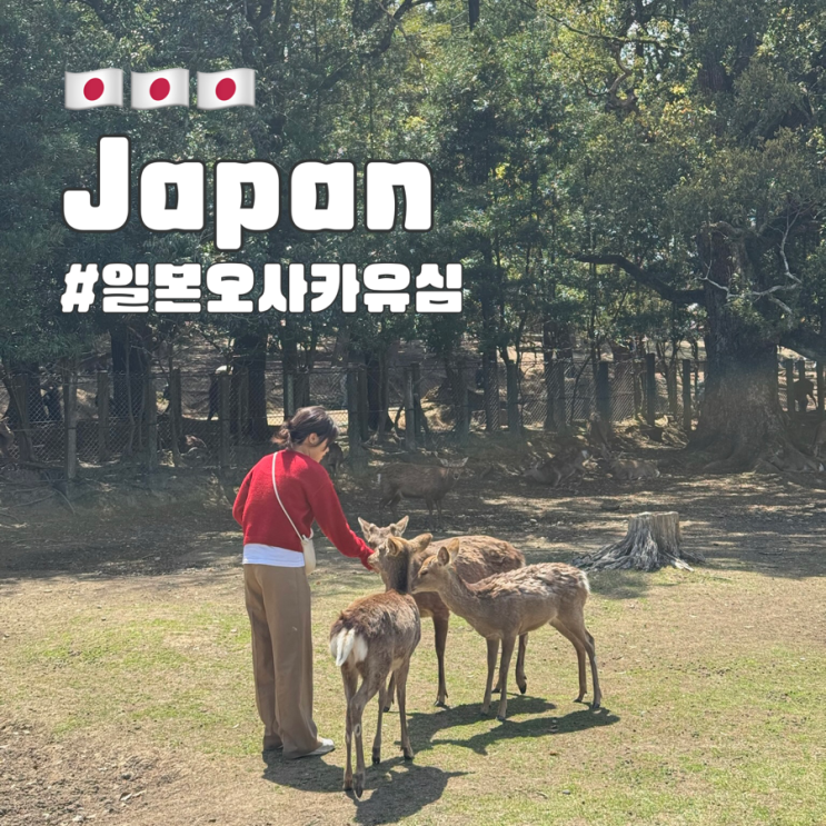  일본 오사카 유심, 유심사 구입 속도 및 사용량 가격 후기 할인
