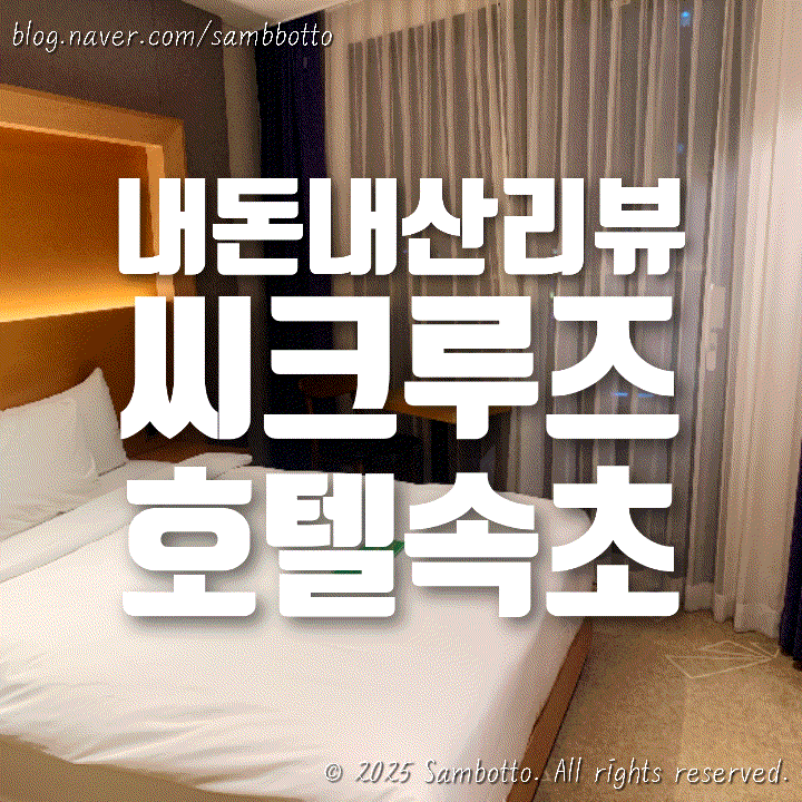  [내돈내산] 속초 여행 위치 최고, 속초 씨크루즈호텔 솔직 후기️