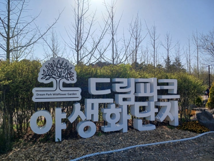  인천가볼만한곳 드림파크야생화단지 인천서구나들이 인천봄소풍