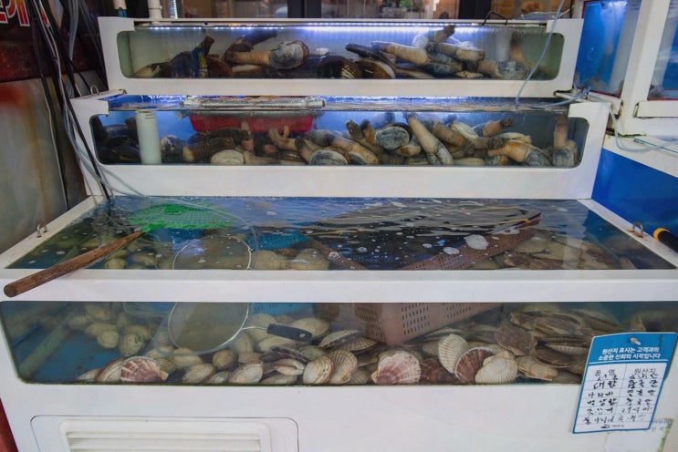  학동수산시장, 여수 해물삼합 맛집에서 느낀 특별한 저녁