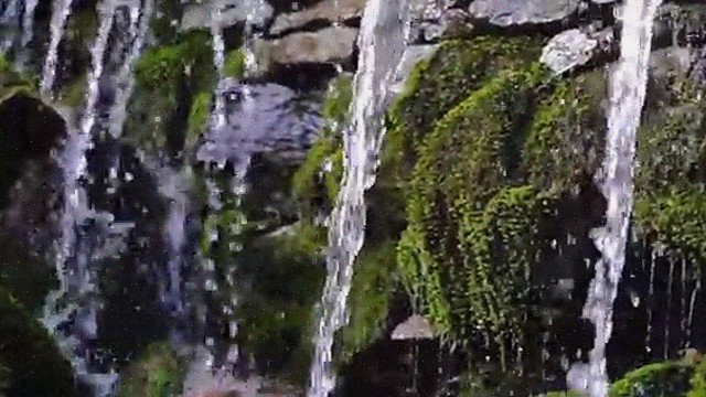  부동산불패 , 부동산자산관리전문가 부동산자산관리사자격증 쉽고 빠르게 취득한 방법