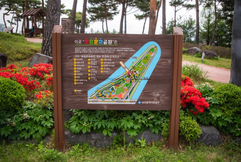 사진 4
