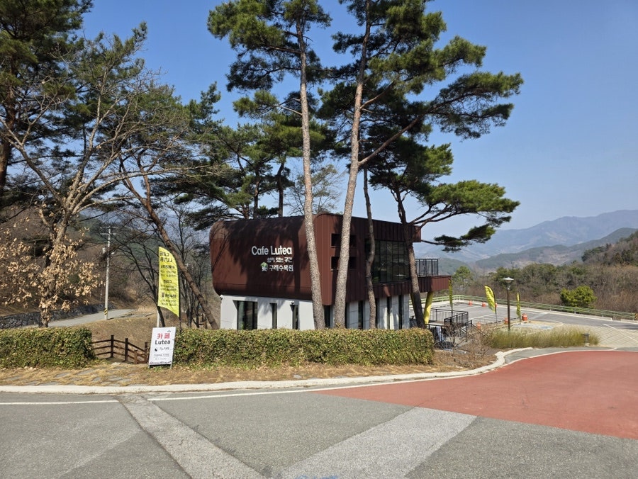 카페루테아 사진