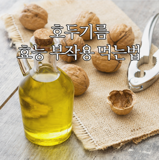  호두기름 효능 먹는법 부작용