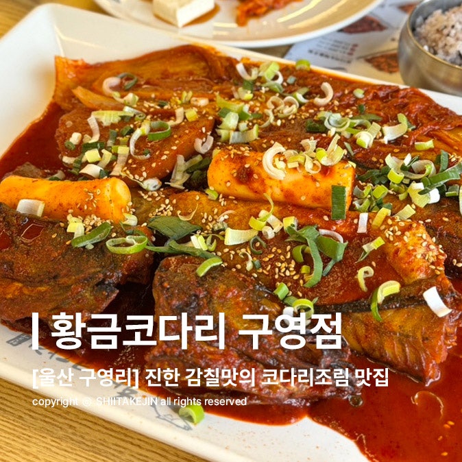  [울산 구영리 맛집] 낮술하기 좋은 막걸리 무한리필 코다리 조림 맛집, 황금코다리 구영점
