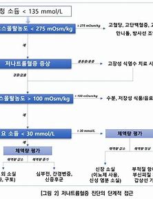 전해질 질환 저나트륨혈증