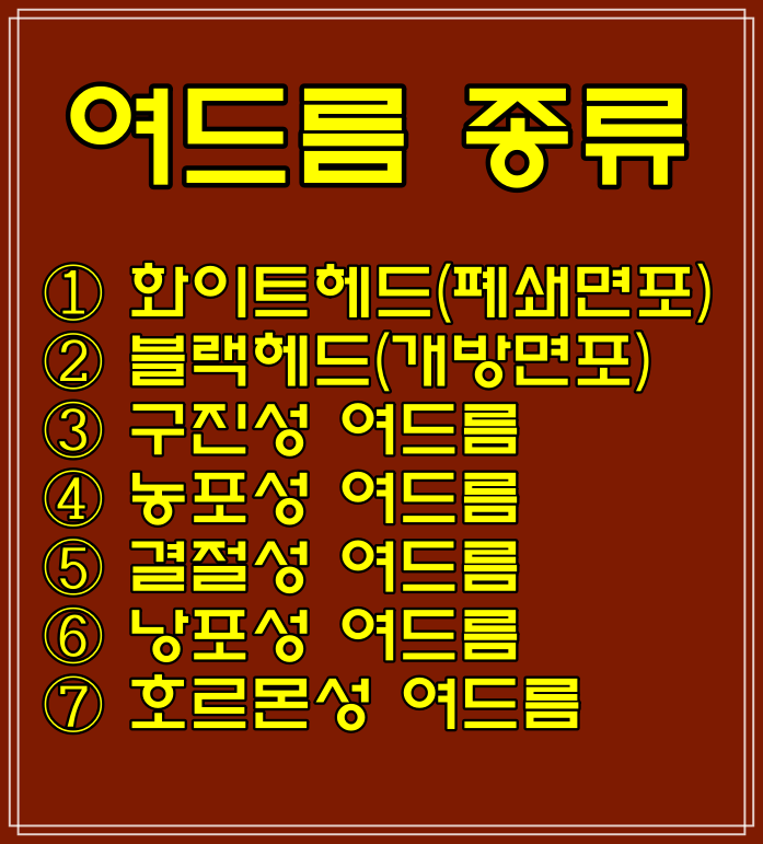  여드름 피부타입별 관리법, (화이트헤드,블랙헤드,구진성,농포성,결절성,낭포성,호르몬성)여드름 종류