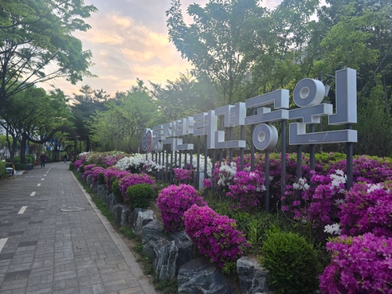 사진 2