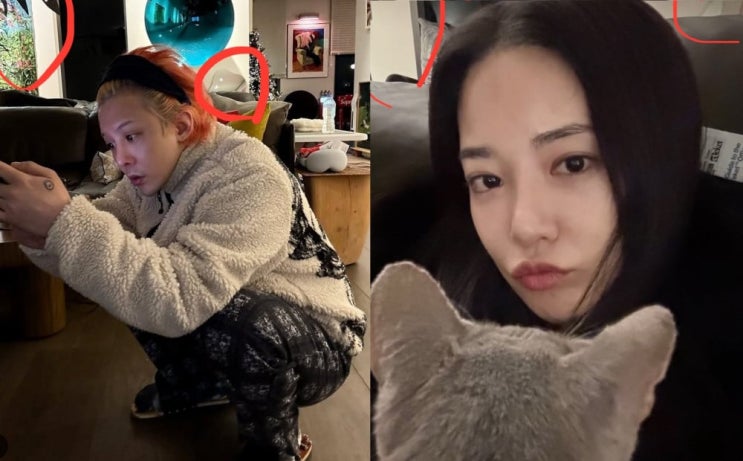 빅뱅 지드래곤과 <b>이주연</b> 열애설, 지디 10년 연애사 히스토리... 
