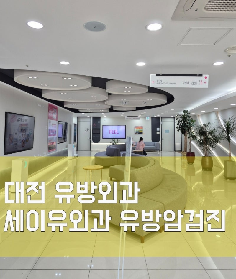 대전 유방외과 세이유외과 유방암검진, 갑상선검진 비용