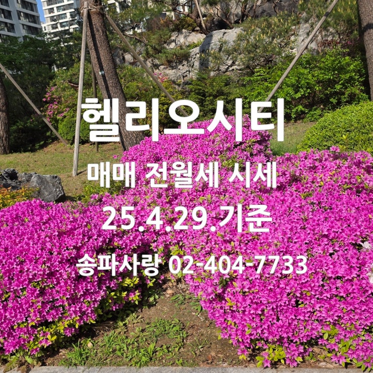  토허제 이후 기지개 펴는 헬리오시티 매매 전월세 시세 25년4월29일 기준