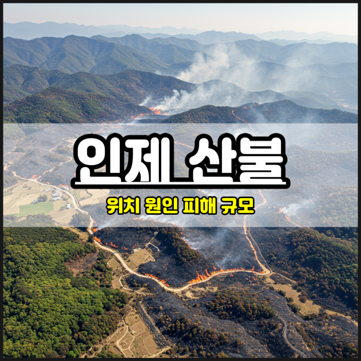  강원도 인제 산불 원인 위치 피해 규모 얼마나?