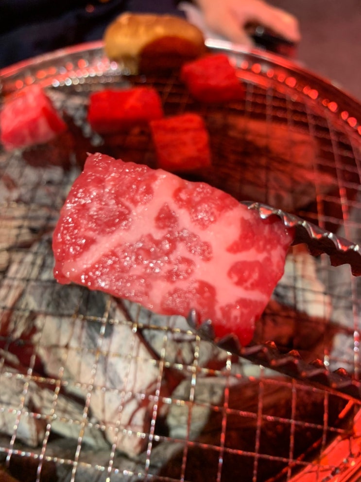  청주 맛집 애견동반 가능한 곳 육즙 방문 후기