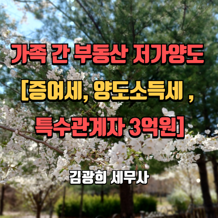  가족 간 부동산 거래 저가양도 [증여세, 양도세 계산, 특수관계자 3억원]