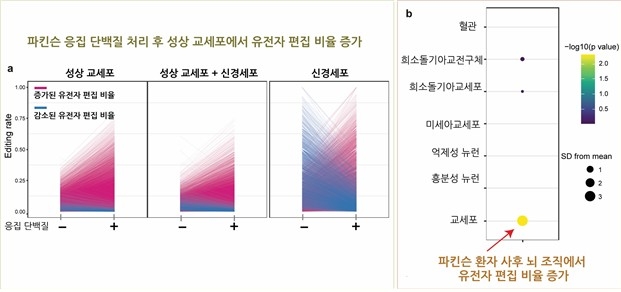 파킨슨병 발병에 관여하는 RNA 편집효소 찾았다