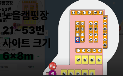 사진 6