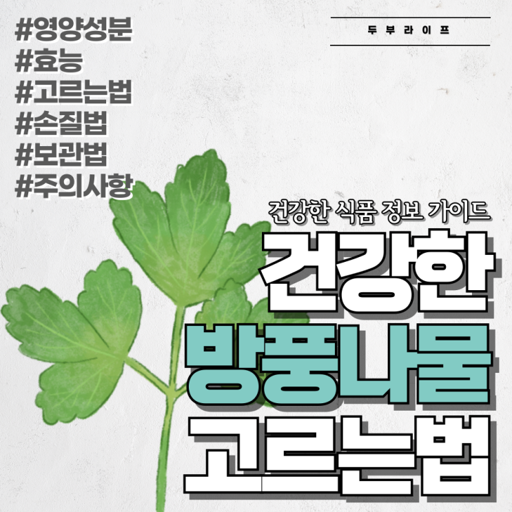  건강한 방풍나물 고르는법 #영양성분#효능#고르는법#손질법#보관법#주의사항