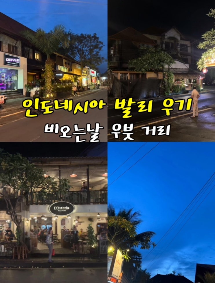  인도네시아 발리 우기 우붓 거리 비 맞아도 낭만 가득한 거리