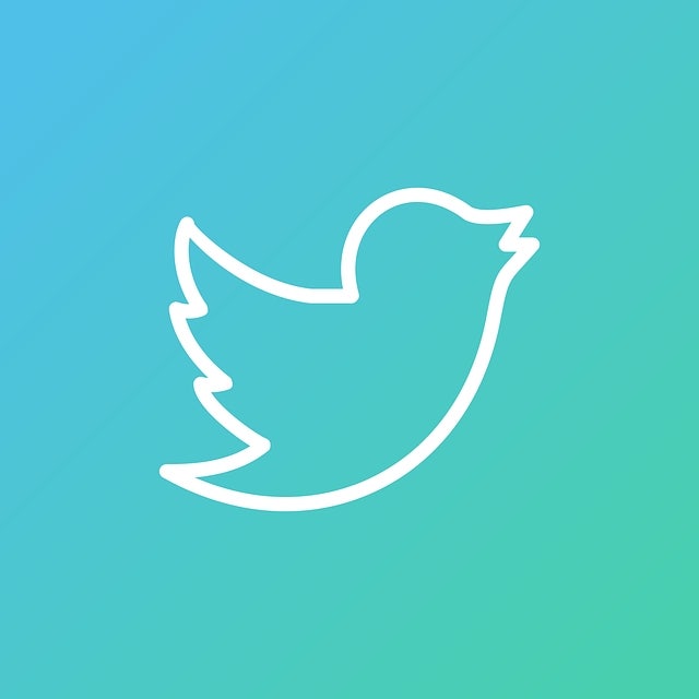 트위터 탈퇴방법 계정 삭제 및 재가입 절차 안내