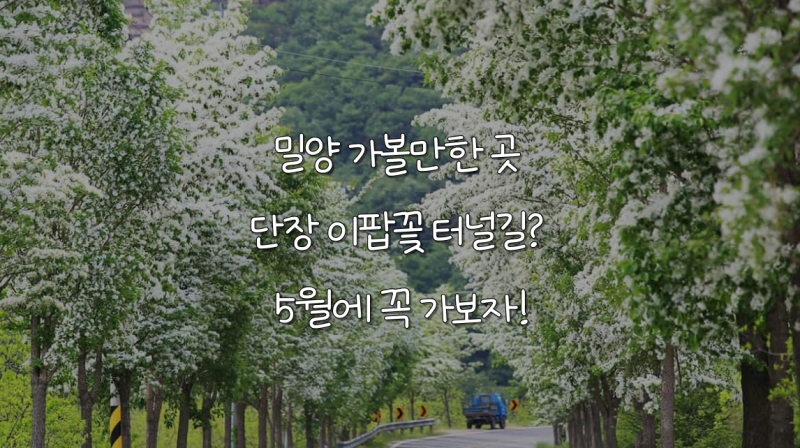 사진 3