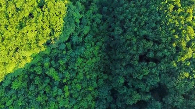  건물 안전관리사 , 동영상으로 집합건물관리사자격증 취득방법 제가 알려드릴게요