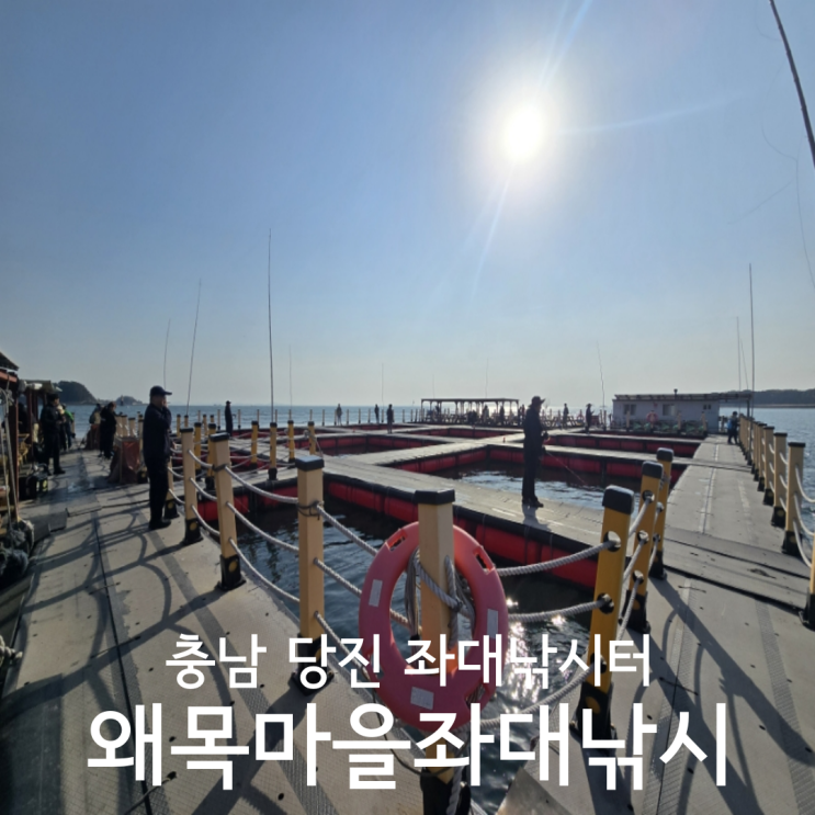  충남 당진좌대낚시 우럭 잘 잡히는 왜목마을좌대낚시