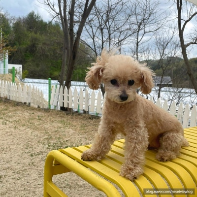 사진 5