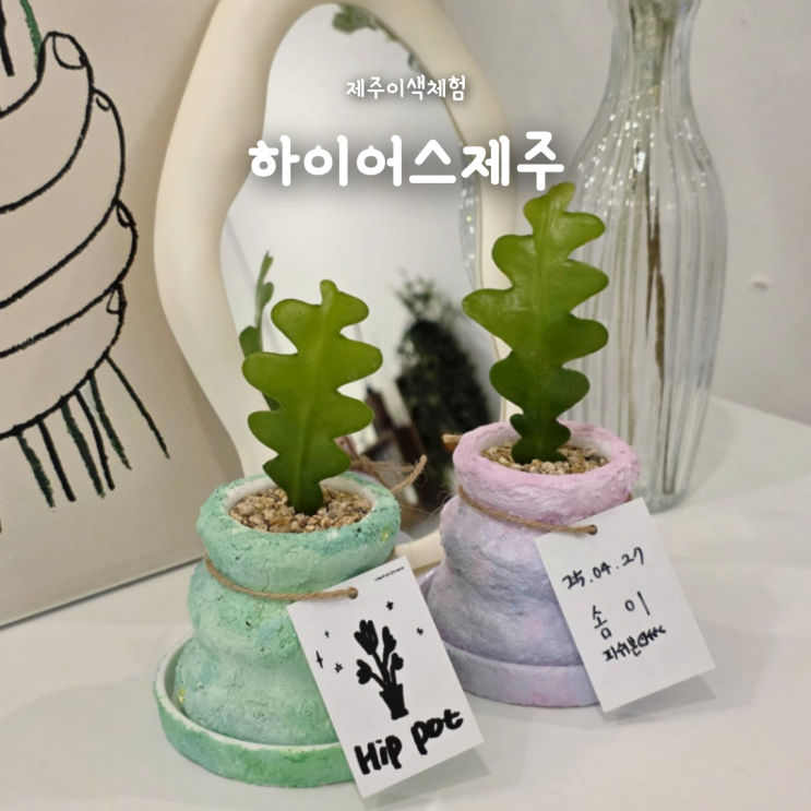  제주원데이클래스 추천 하이어스제주, 나만의 반려화분 힙팟클래스