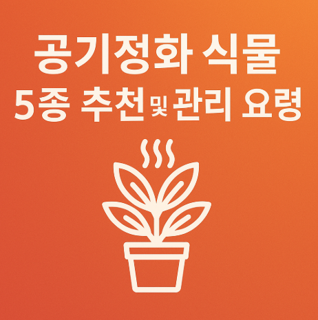  공기정화 식물 5종 추천 및 관리 요령