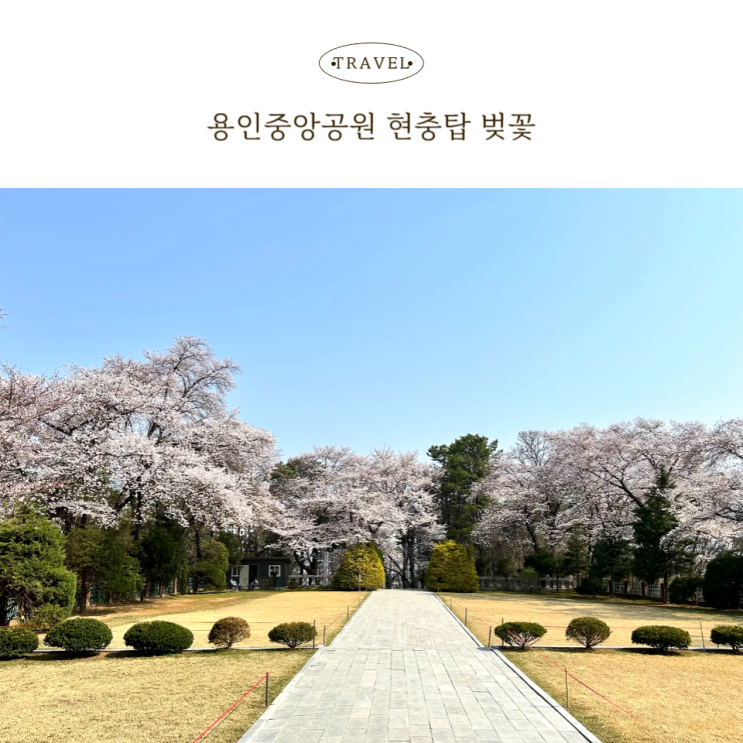  용인중앙공원 현충탑 벚꽃 고요한 봄날 산책