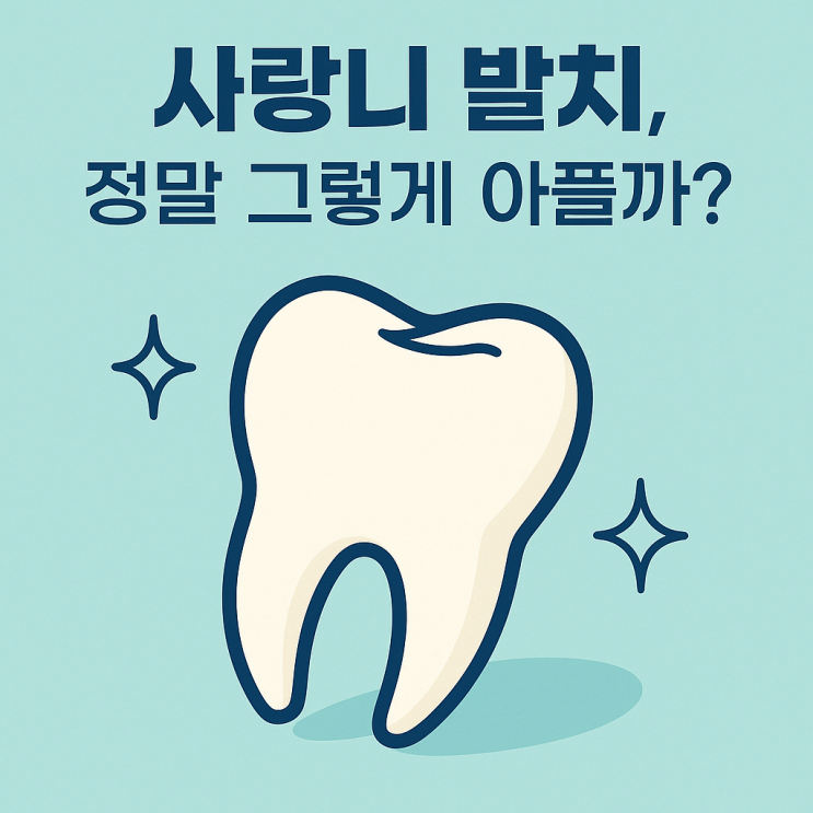  부천 사랑니 발치 잘하는 곳, 바른약속치과에서 통증 걱정 없이!