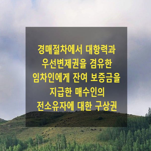  경매절차에서 대항력과 우선변제권을 겸유한 임차인에게 잔여 보증금을 지급한 매수인의 전소유자에 대한 구상권