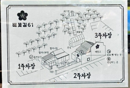  안성 990원 소금빵 카페 배꽃길61 주차장 재정비 후 방문 후기