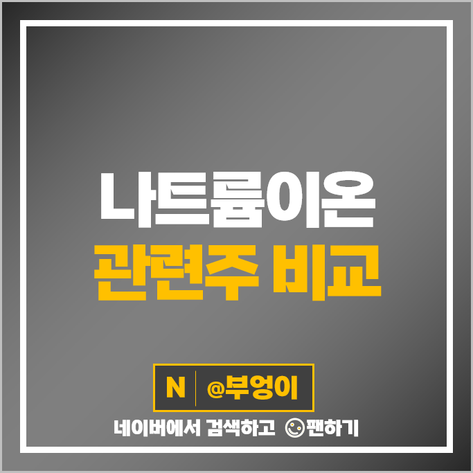 나트륨이온 2차전지 관련주 더블유씨피 에코프로비엠 주가 삼성SDI 주식 나트륨이온 2차전지 관련주 더블유씨피 에코프로비엠 주가 삼성SDI 주식