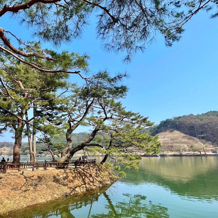  #250428 1박2일 제천여행 - 의림지