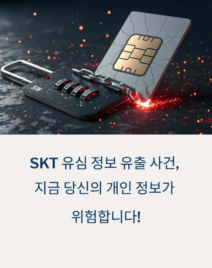 SKT 해킹에 따른 명의도용 방지 서비스 및 확인 방법 